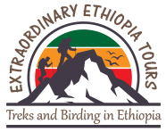 Extraordinary Ethiopia Tours