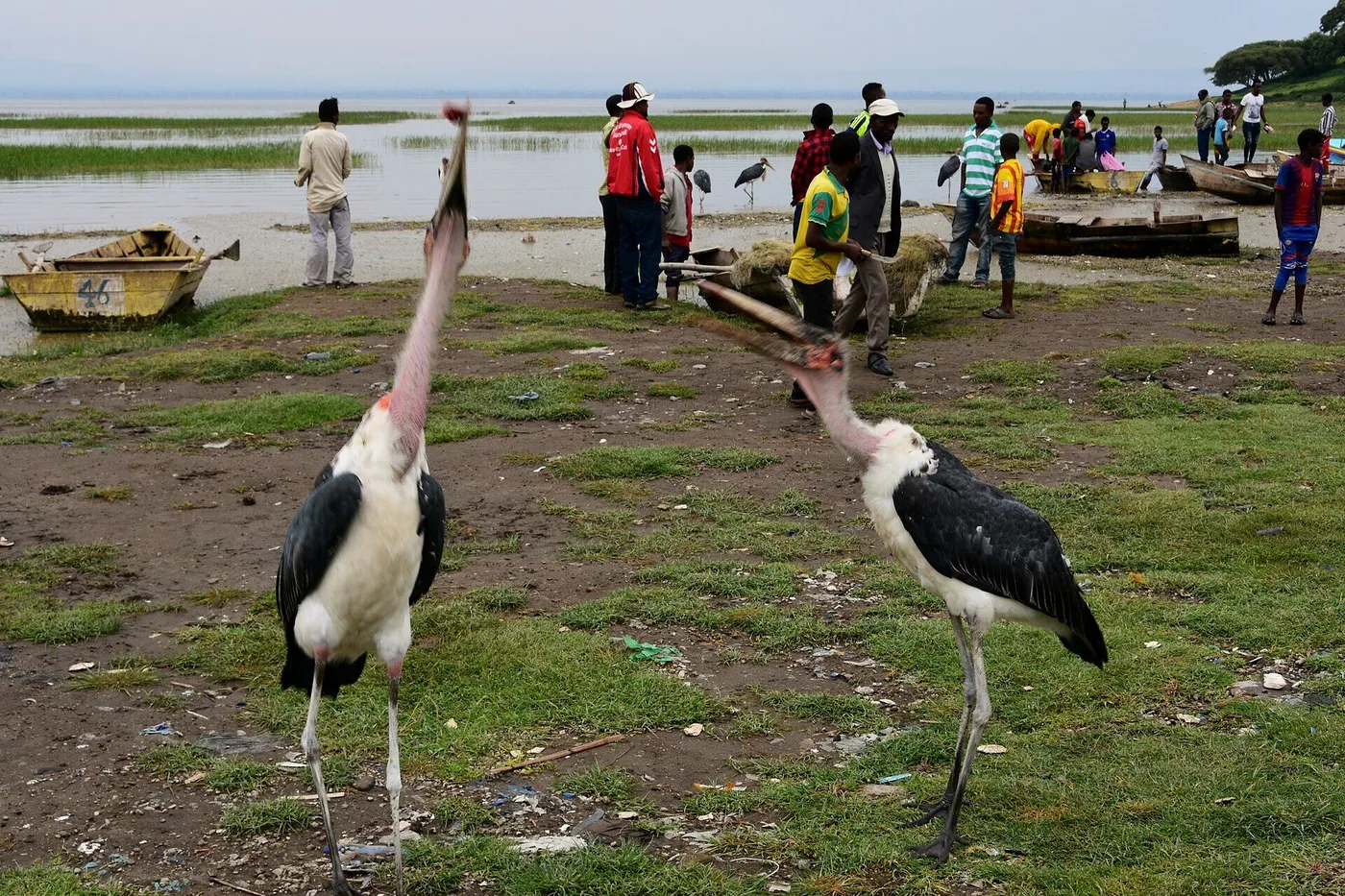 Hawassa, Äthiopien