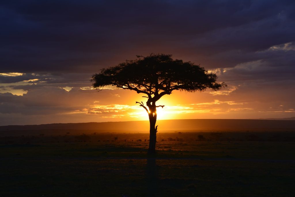 sunset