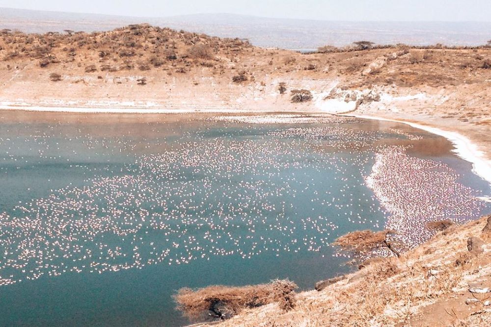Abijata & shala Lake