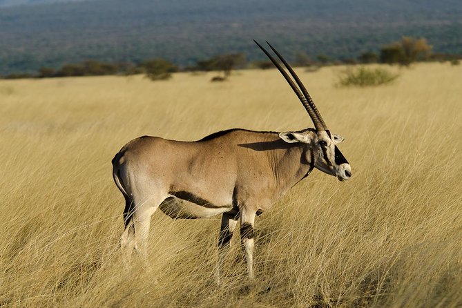 Awash National park