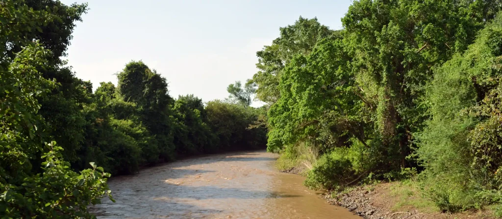 Mago National park