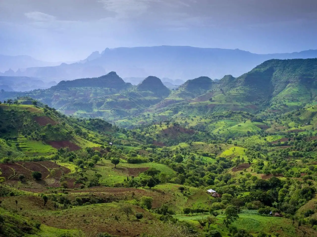 Simien Mountains National park