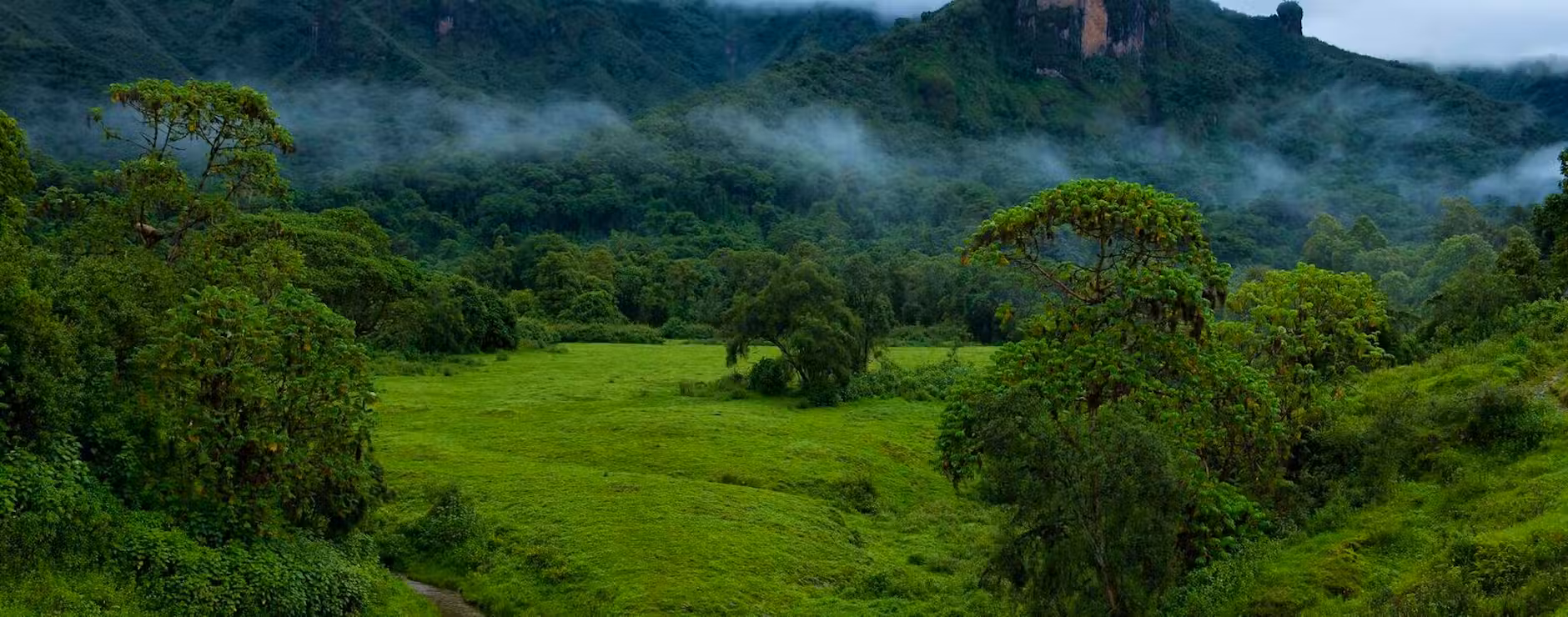 bale mountain National park