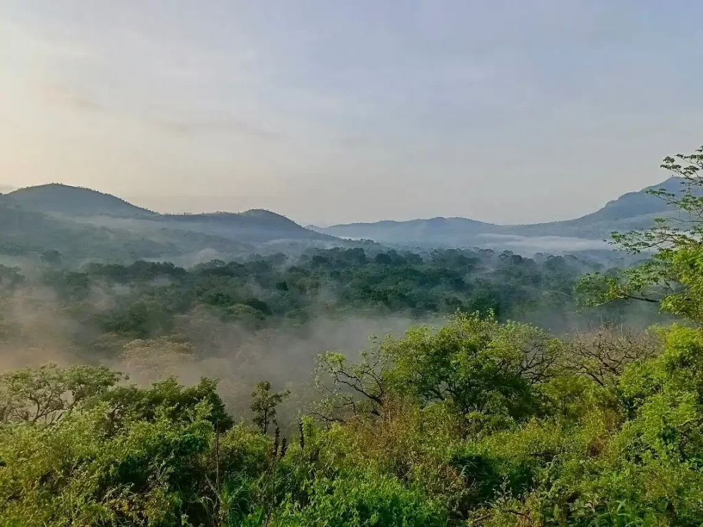 Ethiopia Nature