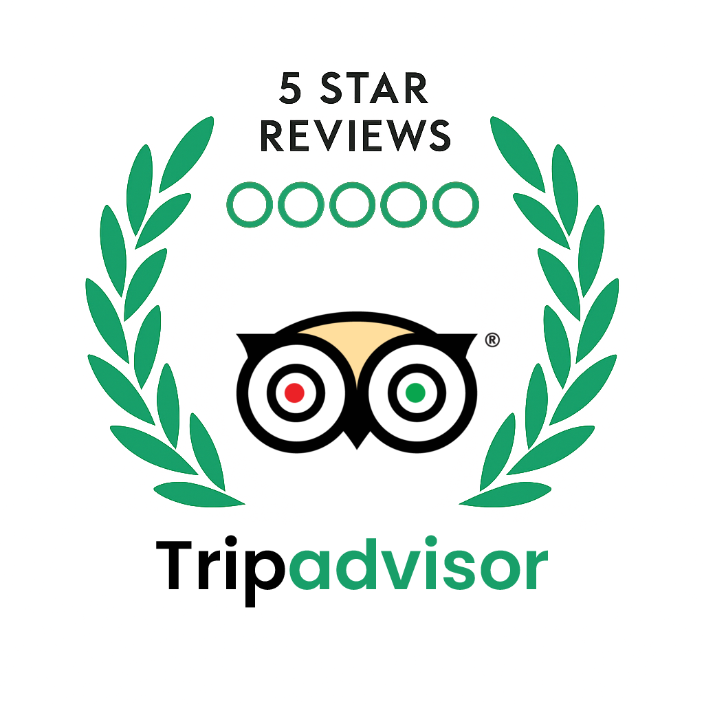 trip advisor logo